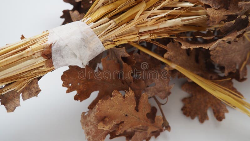 Der badnjak veseljak ist ein Baumzweig oder ein ganzer Baum, der für serbische Weihnachtsfeiern von zentraler Bedeutung ist. auf stockfoto
