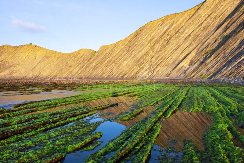 Der Flysch der baskischen Küste bei Sonnenuntergang, Zumaia stockbild Der Flysch der baskischen Küste bei Sonnenuntergang, Zumaia stockbild