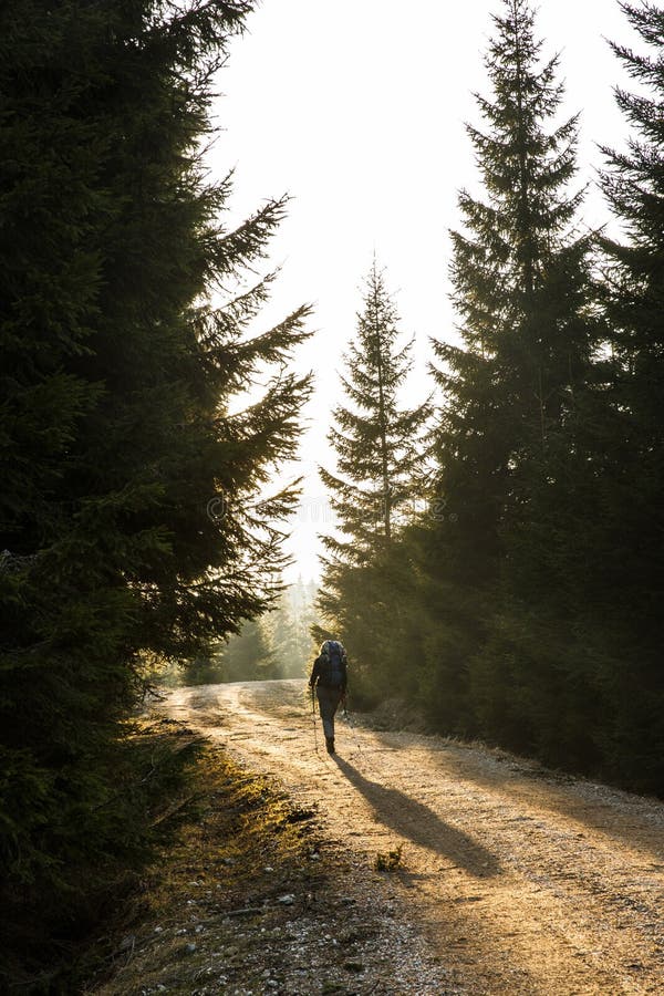 Der Frauenwanderer, der auf eine Gebirgsstraße geht, sonnen das Glänzen lizenzfreies stockfoto Der Frauenwanderer, der auf eine Gebirgsstraße geht, sonnen das Glänzen lizenzfreies stockfoto