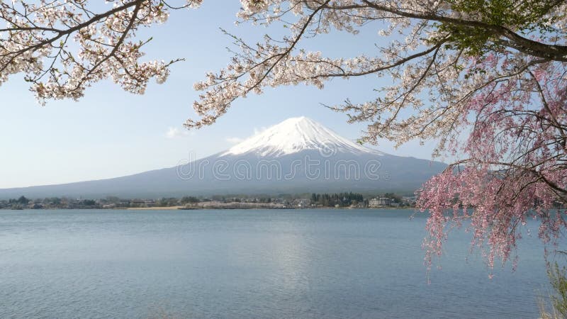 Der Fujisan-Ruhe und ein friedlicher, dem Kawaguchi-See