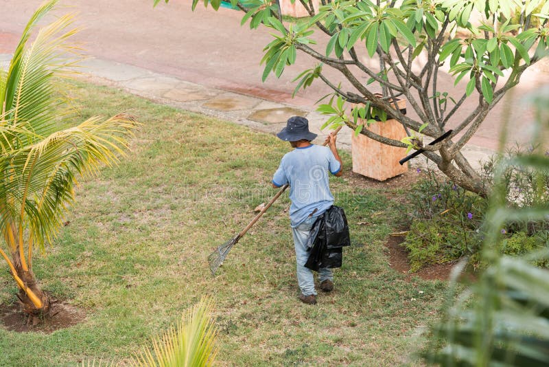 Der Gärtner arbeitet im Garten, Varadero, Matanzas, Kuba Kopieren Sie Raum für Text stockbild Der Gärtner arbeitet im Garten, Varadero, Matanzas, Kuba Kopieren Sie Raum für Text stockbild