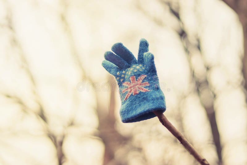 Der Handschuh des Kindes, der an einem Baum hängt lizenzfreies stockfoto Der Handschuh des Kindes, der an einem Baum hängt lizenzfreies stockfoto