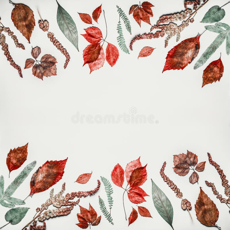 Der Herbst, der verfassen oder der Musterhintergrund, der mit verschiedenem buntem Fall gemacht wird, verlässt auf hellem Hinterg lizenzfreie stockbilder