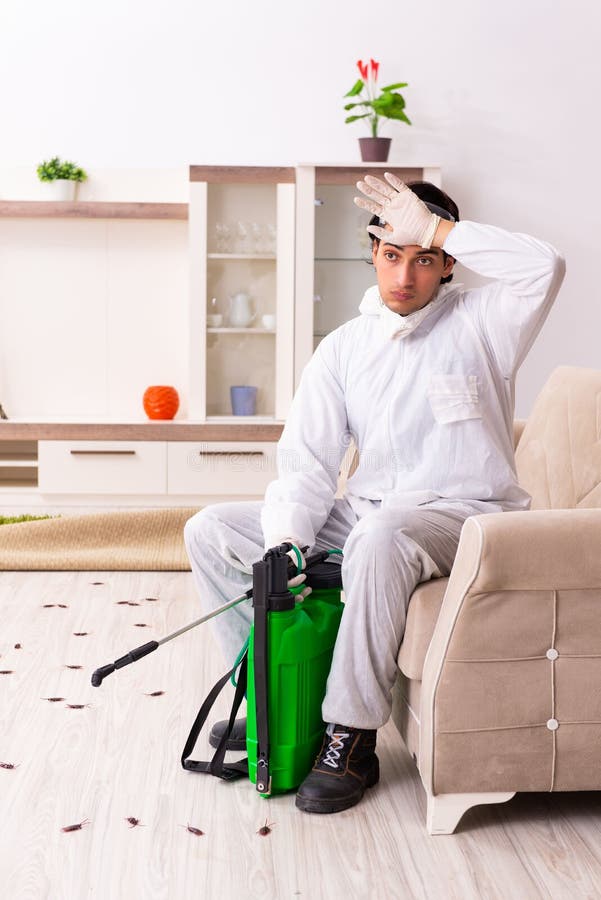 Der junge Berufsauftragnehmer, der Schädlingsbekämpfung an der Ebene tut lizenzfreie stockfotografie Der junge Berufsauftragnehmer, der Schädlingsbekämpfung an der Ebene tut lizenzfreie stockfotografie
