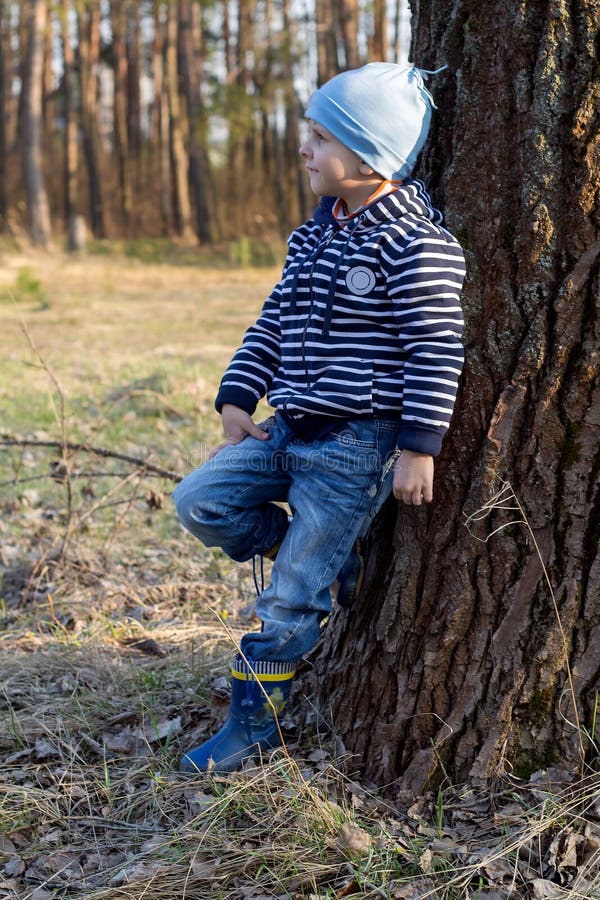Der Junge geht im Wald stockbilder Der Junge geht im Wald stockbilder