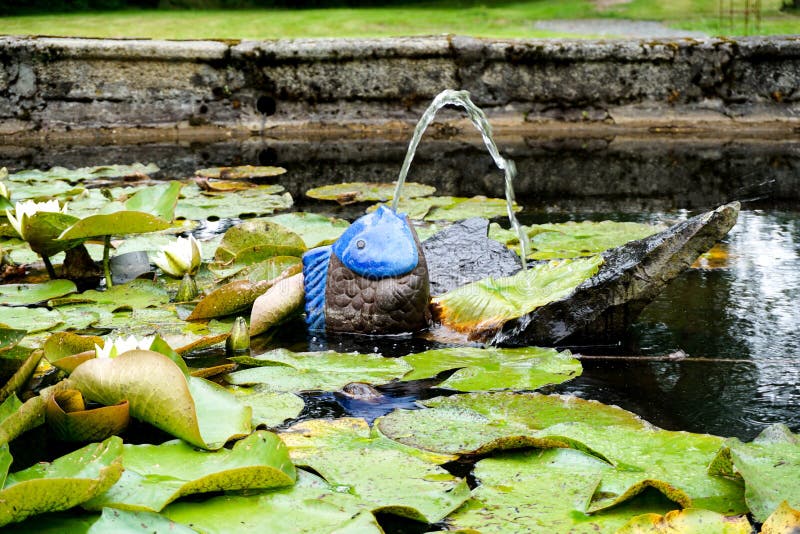 Der kleine Teichbrunnen in Form eines Fisches lizenzfreie stockfotografie Der kleine Teichbrunnen in Form eines Fisches lizenzfreie stockfotografie