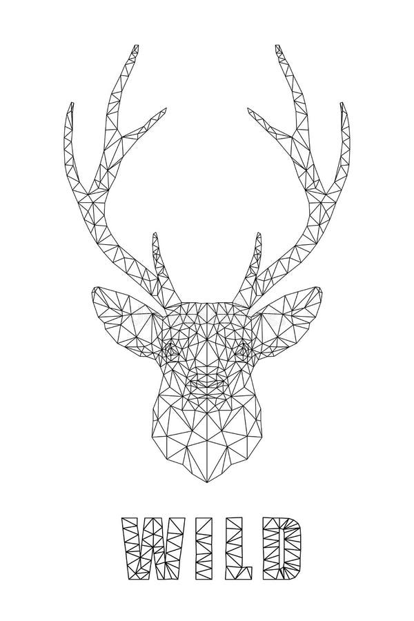 Rotwild vektor abbildung. Illustration von