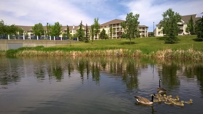Der Platz am Seeufer Condomimiums, Edmonton, Alberta, Kanada lizenzfreies stockfoto Der Platz am Seeufer Condomimiums, Edmonton, Alberta, Kanada lizenzfreies stockfoto