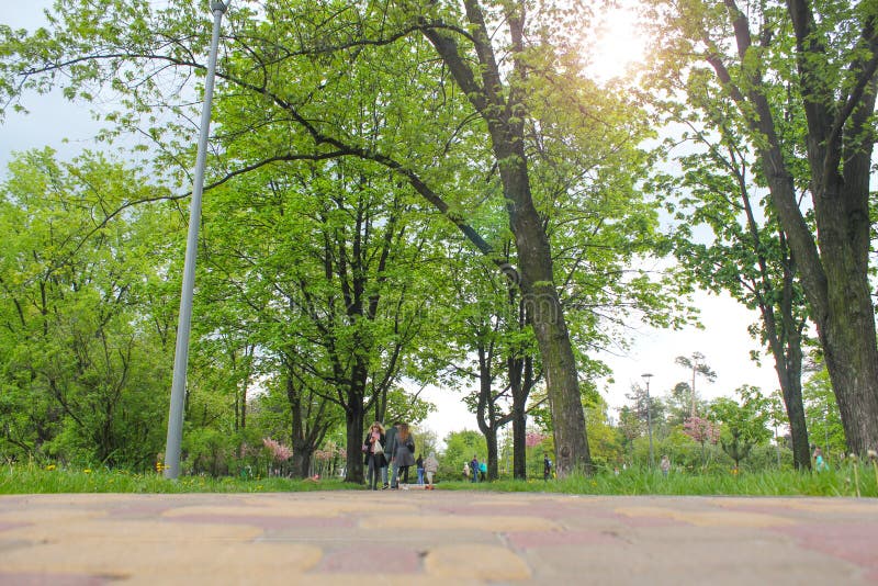 Der Radweg- und Wegweg durch szenische grüne Rasen und Parklands bietet eine ruhige entspannende Fahrt auf einen sonnigen Morgen lizenzfreies stockfoto Der Radweg- und Wegweg durch szenische grüne Rasen und Parklands bietet eine ruhige entspannende Fahrt auf einen sonnigen Morgen lizenzfreies stockfoto