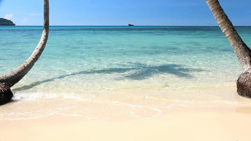 Der Sandstrand mit Palme