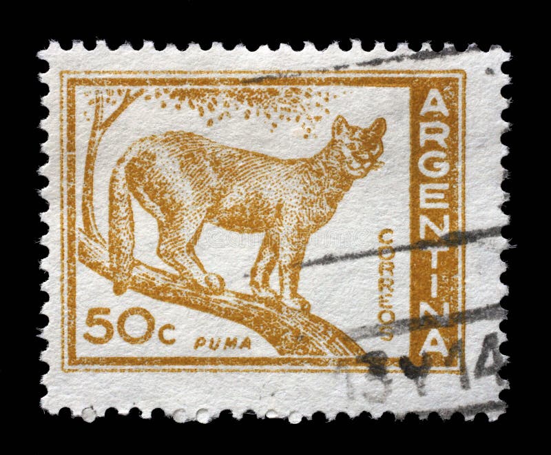 Der Stempel, der im Argentinien gedruckt wird, zeigt Puma lizenzfreie stockfotos Der Stempel, der im Argentinien gedruckt wird, zeigt Puma lizenzfreie stockfotos