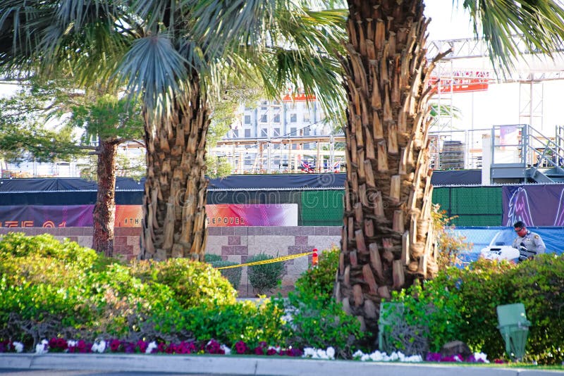 Der Weg 91 ERNTEliveort nach dem Triebvorfall stockbilder