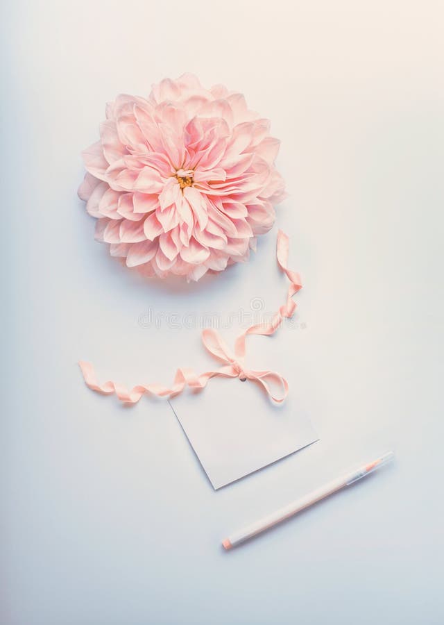 Derisione di colore pastello su con il fiore rosa crema, la carta di carta in bianco con il nastro e la penna del punto su fondo