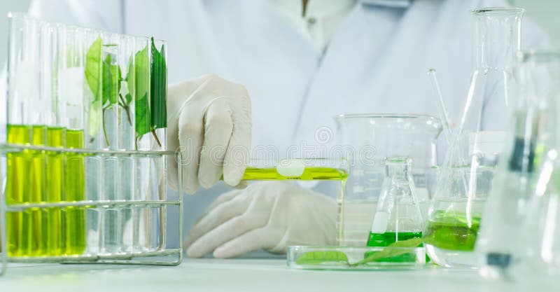 Green herbal medicine research discovery vaccine at science lab