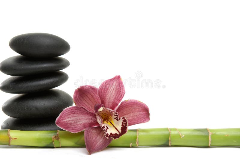 Des Badekurortes Leben noch stockbild Des Badekurortes Leben noch stockbild