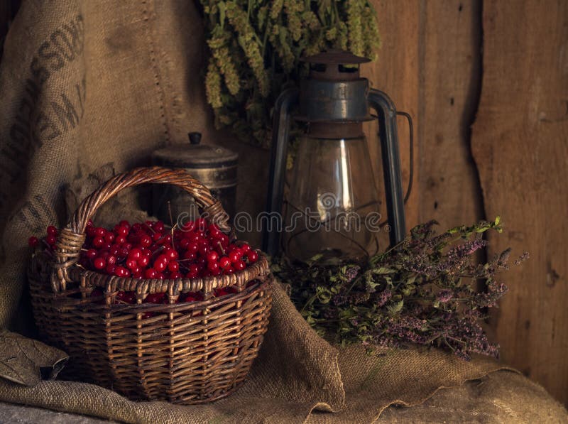 Des Dorfs Leben noch Retro- Kerosinlampe, Korb, Viburnumbeeren, getrocknetes Oregano und Minze auf schäbigem Sack stockfotos Des Dorfs Leben noch Retro- Kerosinlampe, Korb, Viburnumbeeren, getrocknetes Oregano und Minze auf schäbigem Sack stockfotos