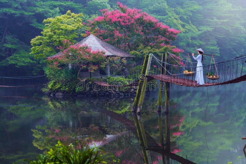 Des femmes asiatiques portant des robes de vietnamese ao dai portent des paniers de fruits et marchent sur un pont vers une petite photos libres de droits