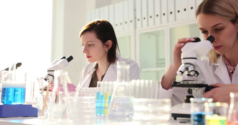 Des femmes scientifiques travaillent avec des microscopes en laboratoire