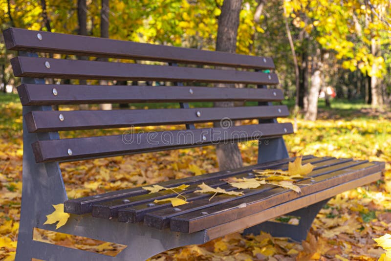 Des feuilles jaunes d'automne sont posées sur un banc de parc en bois marron Feuillage d'automne dans la ville octobre
