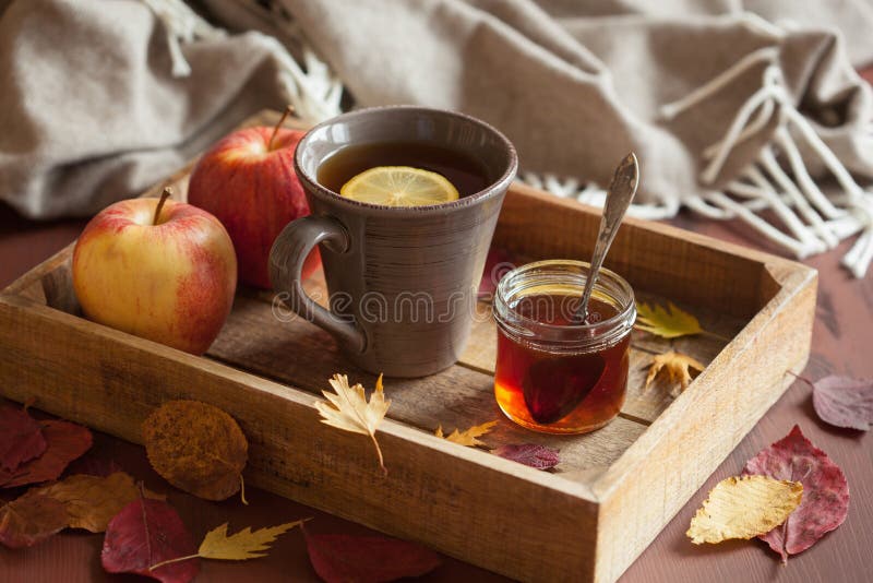 Des getränk-Schals des heißen Zitronenhonigtees Erwärmungsgemütlicher Herbstlaub lizenzfreie stockfotos
