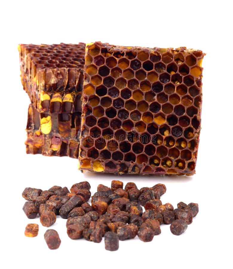 Des granules de pain d'abeille et un morceau de cellules de miel sont isolés sur un fond blanc Remède naturel pour l'amélioration photo libre de droits Des granules de pain d'abeille et un morceau de cellules de miel sont isolés sur un fond blanc Remède naturel pour l'amélioration photo libre de droits