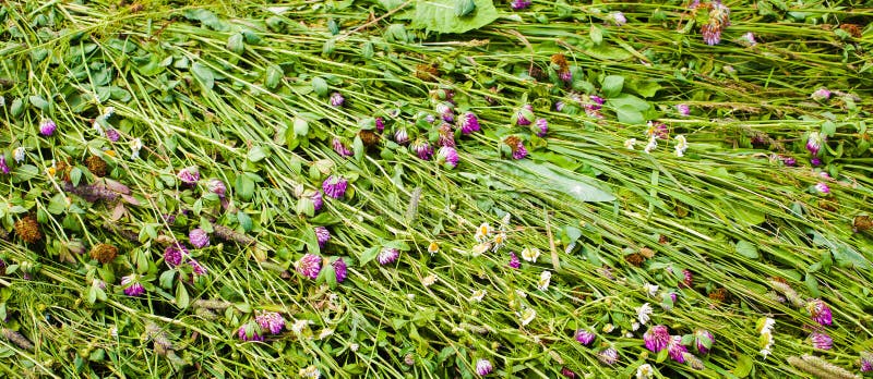 1,887 Blechschrott Fotos - Kostenlose und Royalty-Free Stock-Fotos von