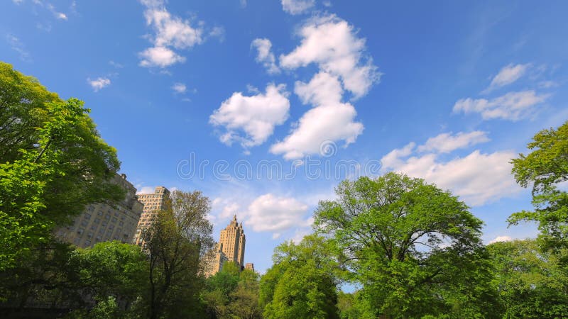Des nuages flottent au-dessus des arbres verts qui poussent à côté des bâtiments du parc central à l'ouest
