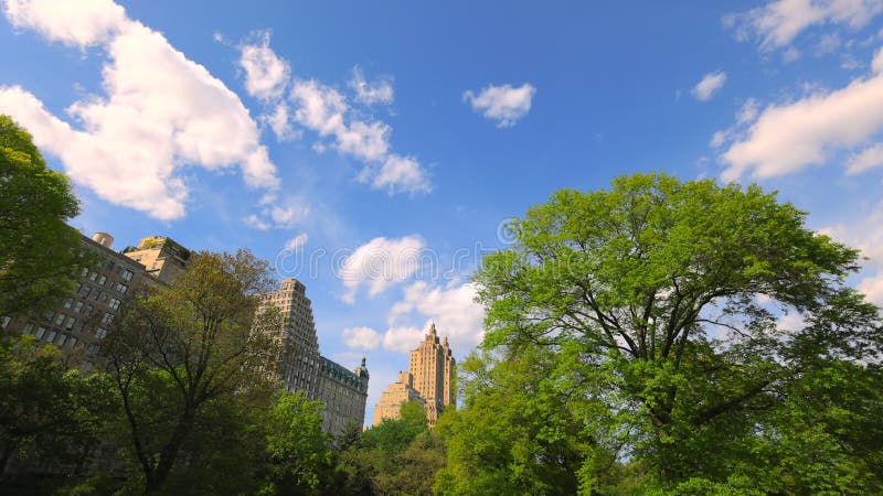 Des nuages flottent au-dessus des arbres verts qui poussent à côté des bâtiments du parc central à l'ouest