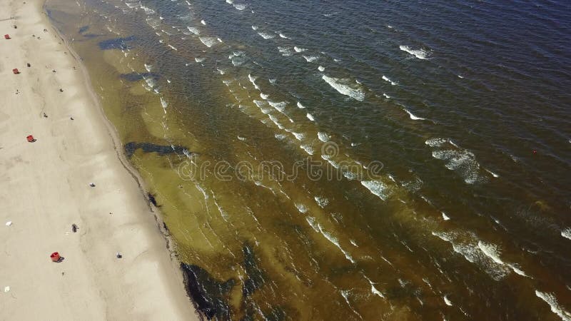 Des Ostsee-Küstenluftbrummens Vecaki Lettland Video der Draufsicht 4K UHD