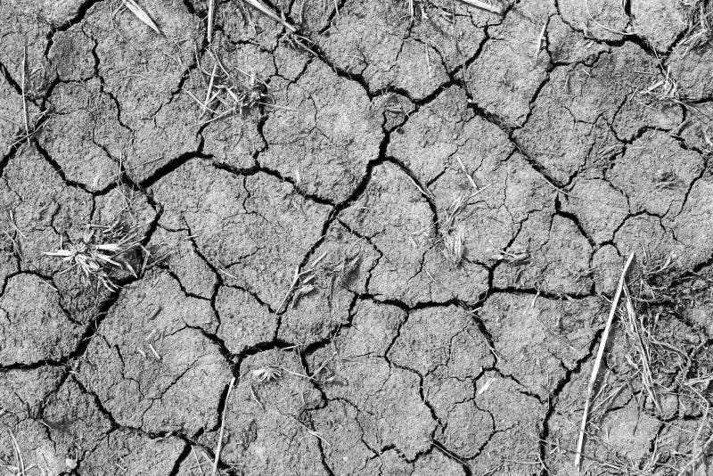 Desastre ambiental Aquecimento global Terra rachada secada Seca e falta da umidade no solo imagens de stock royalty free