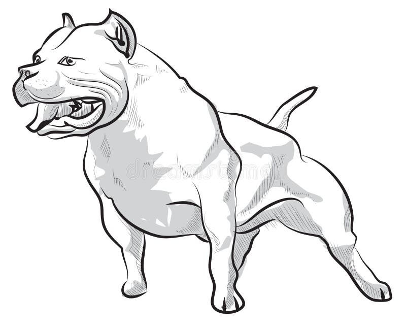 Descascamento do pitbull do desenho da mão do esboço do vetor ilustração do vetor Descascamento do pitbull do desenho da mão do esboço do vetor ilustração do vetor