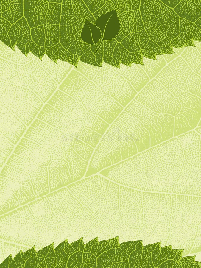 Descripteur avec la texture de lame illustration stock Descripteur avec la texture de lame illustration stock