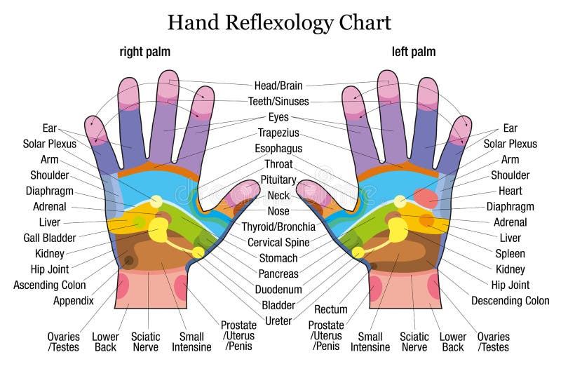 Descrição da carta do reflexology da mão