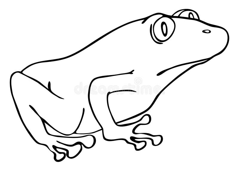 Desenho Animado Da Rã Verde Ilustração do Vetor - Ilustração de tema, olho: 221303594 Desenho Animado Da Rã Verde Ilustração do Vetor - Ilustração de tema, olho: 221303594