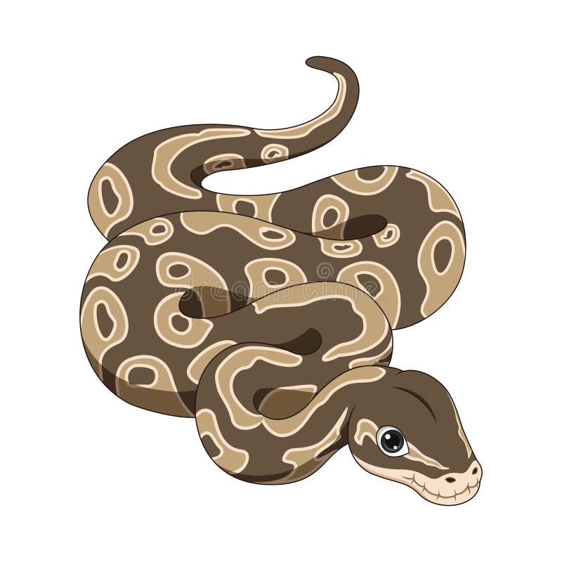 Desenho De Cobra Verde Bonito No Fundo Branco PNG , Floresta, Mascote,  Feliz Imagem PNG e Vetor Para Download Gratuito em 2023