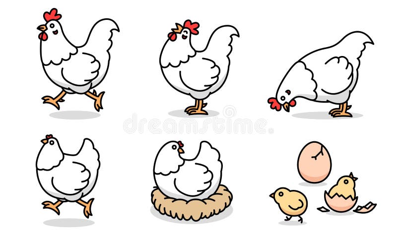 Desenho De Frango Ou Galinha De Desenho Animado. Animais De Fazenda. Livro  De Colorir Para Crianças. Royalty Free SVG, Cliparts, Vetores, e  Ilustrações Stock. Image 137949853