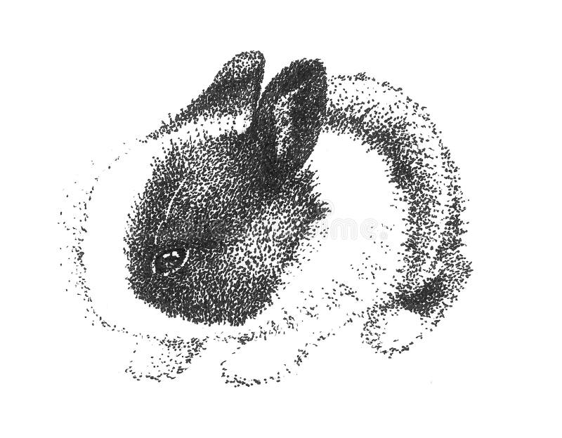 Desenho bonito adorável do coelho de coelho ilustração stock Desenho bonito adorável do coelho de coelho ilustração stock
