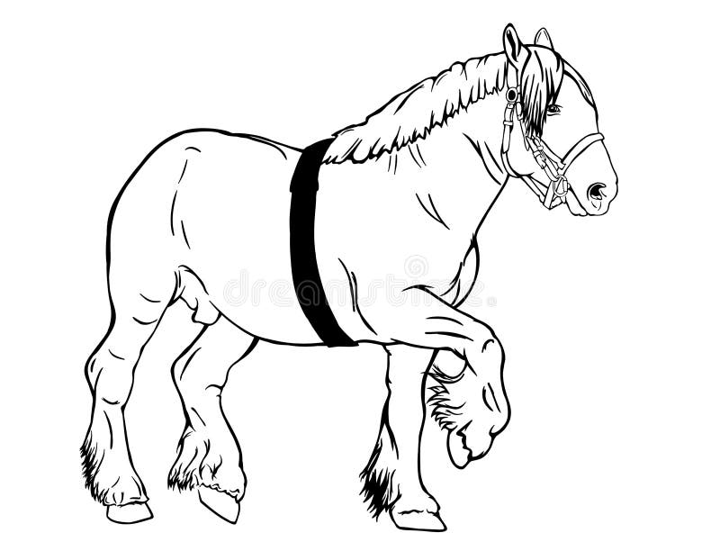 Desenho De Cavalo PNG , Clipart De Cavalo, Esboço, Cavalo Imagem PNG e  Vetor Para Download Gratuito