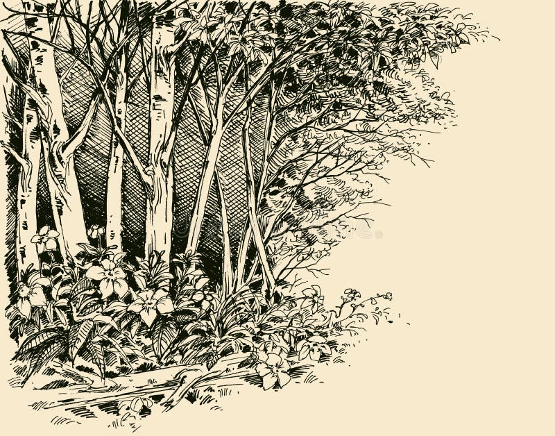 Flores Arbóreas Vegetação Arbustiva Desenho Animado Branco Isolado De Fundo  Ilustração do Vetor - Ilustração de folha, naughty: 194161940