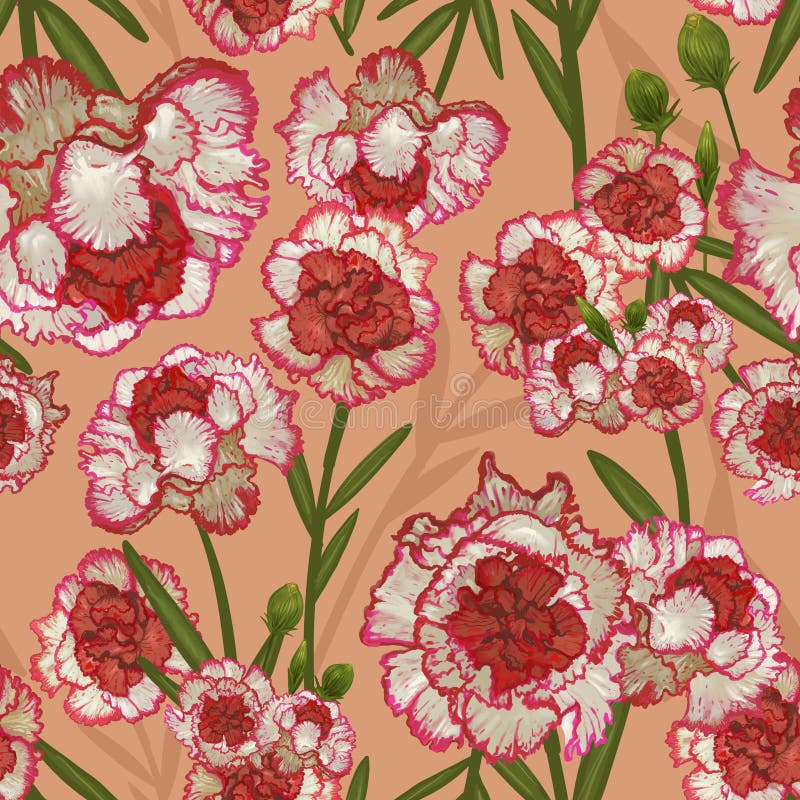 Desenho da ilustração da flor do caryophyllus do cravo-da-índia isolada ilustração stock Desenho da ilustração da flor do caryophyllus do cravo-da-índia isolada ilustração stock