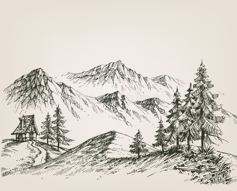 Desenho de borda florestal, esboço genérico de vegetação imagem vetorial de Danussa© 114105034
