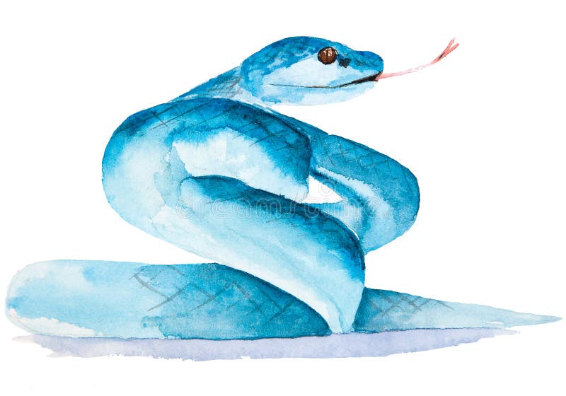 Vetores de Desenho Animado Bonito Da Víbora Azul Da Cobra e mais