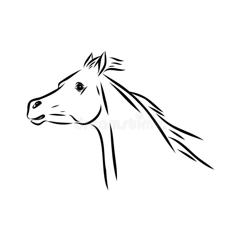 único desenho de uma linha executando o esboço do cavalo do garanhão árabe.  cavalo de raça pura galopando da raça árabe. símbolo de corrida de cavalos,  distintivo de esporte equestre. vetor gráfico
