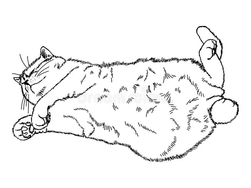 Desenho De Um Gato Fofo Sentado Com As Costas Para Nós E Olhando Para  Longe. Ilustração Isolada Linear a Preto E Branco Ilustração do Vetor -  Ilustração de amigo, bonito: 212502498