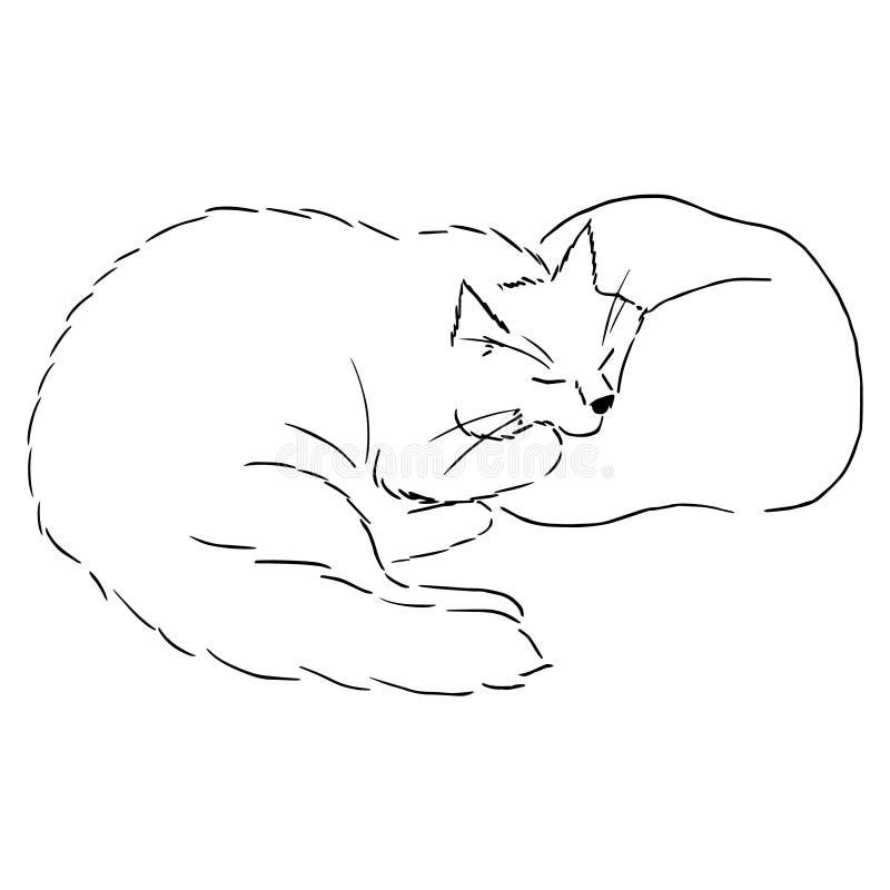 Fundo Desenho A Lápis De Um Gato Deitado E Descansando Em Um