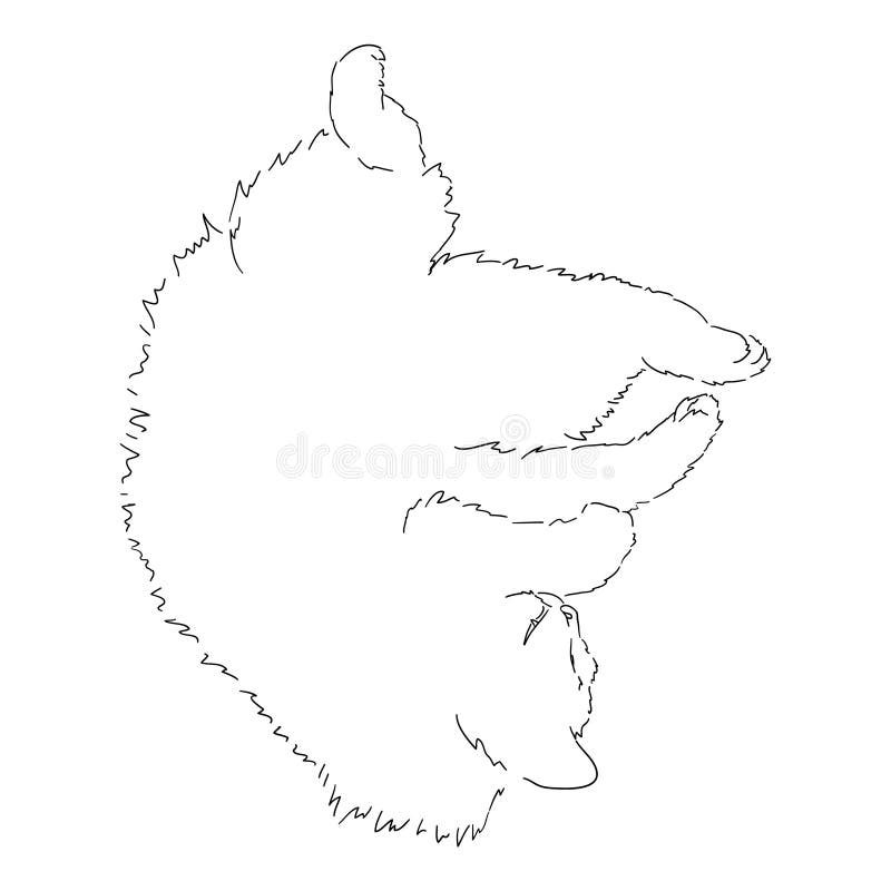 Desenho De Um Gato Fofo Sentado Com As Costas Para Nós E Olhando Para  Longe. Ilustração Isolada Linear a Preto E Branco Ilustração do Vetor -  Ilustração de amigo, bonito: 212502498