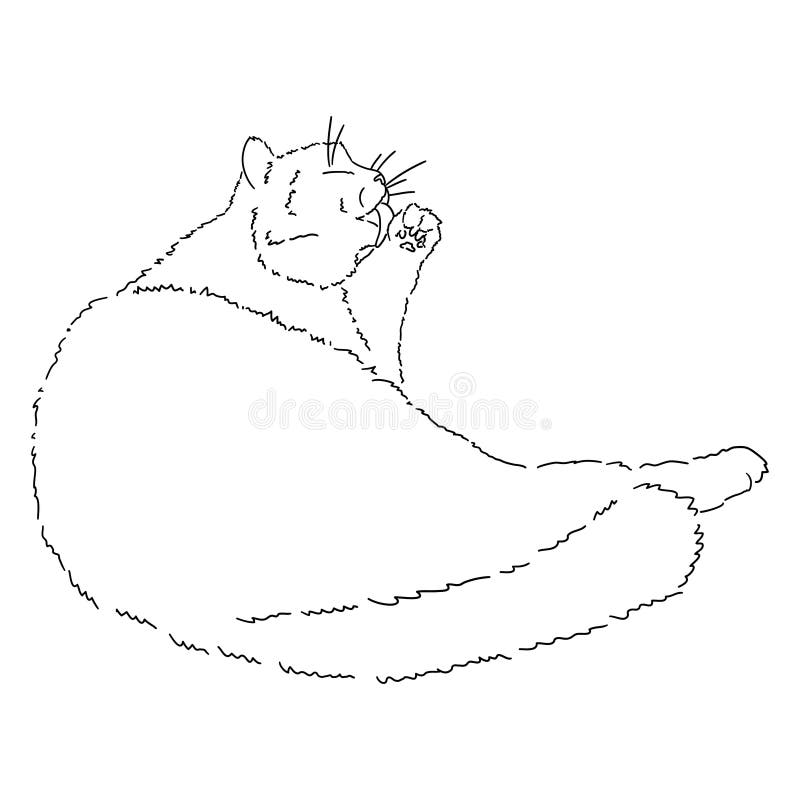 Desenho De Um Gato Fofo Sentado Com As Costas Para Nós E Olhando Para  Longe. Ilustração Isolada Linear a Preto E Branco Ilustração do Vetor -  Ilustração de amigo, bonito: 212502498