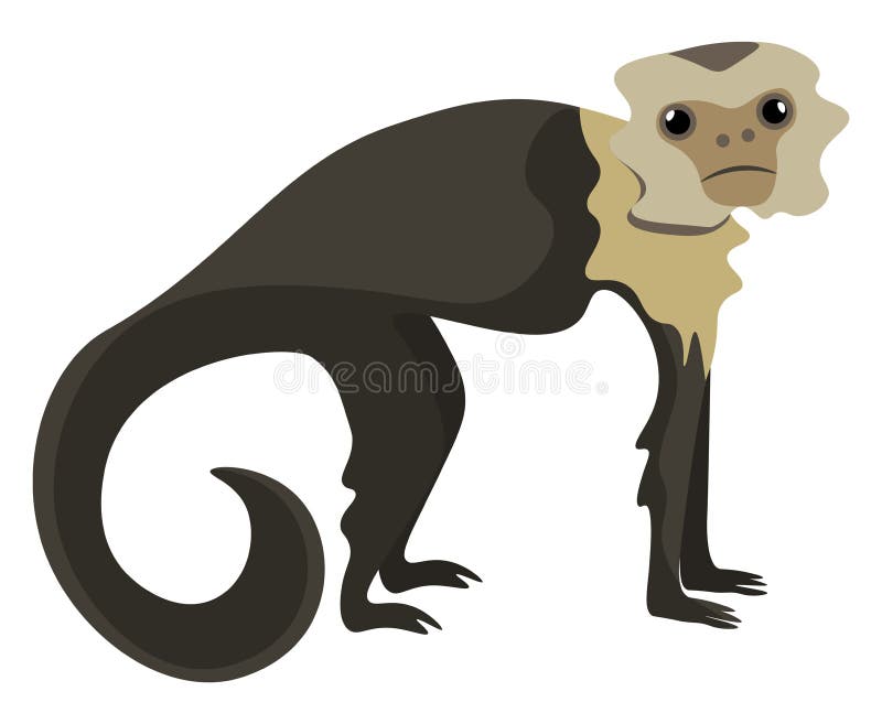 Design PNG E SVG De Ilustração Da Cauda Da Perna Do Macaco-prego Para  Camisetas