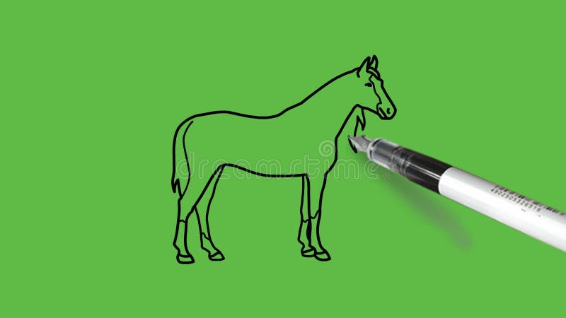 Como Desenhar um Cavalo Simples (com Imagens) - wikiHow