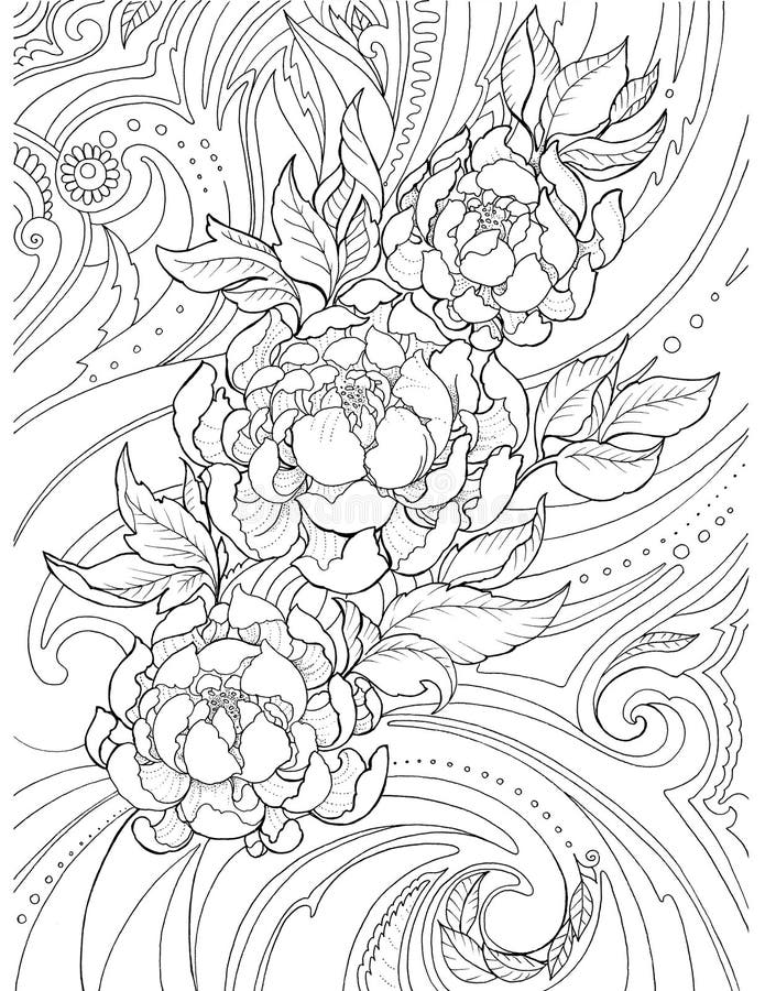 Desenho decorativo, abstrato de flores da peônia e testes padrões, tatt ilustração do vetor Desenho decorativo, abstrato de flores da peônia e testes padrões, tatt ilustração do vetor